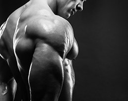 steroide und bodybuilding